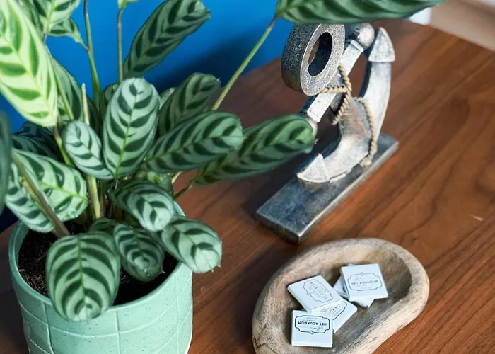 Botel De Coaster & Aquarium Ponton *